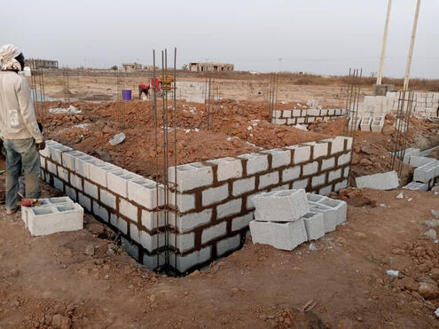 Nexus by Sylvastar Nexus by Sylvastar