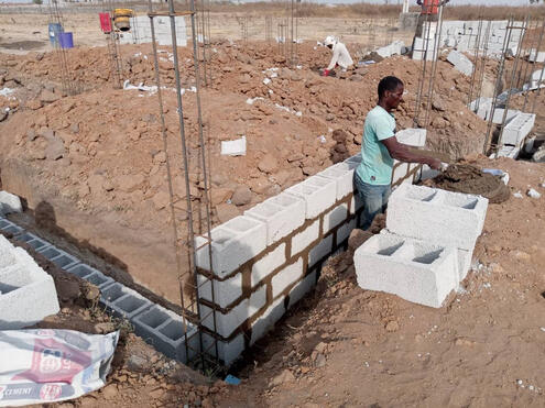 Nexus by Sylvastar Nexus by Sylvastar