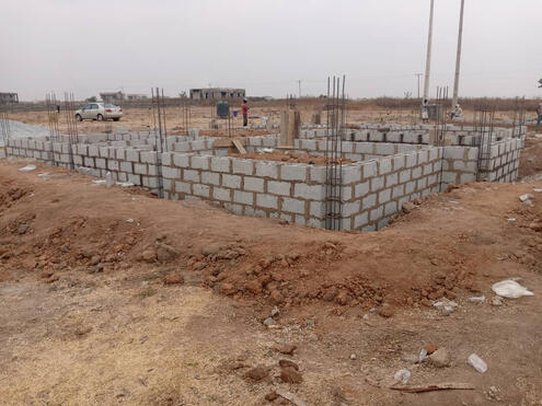 Nexus by Sylvastar Nexus by Sylvastar