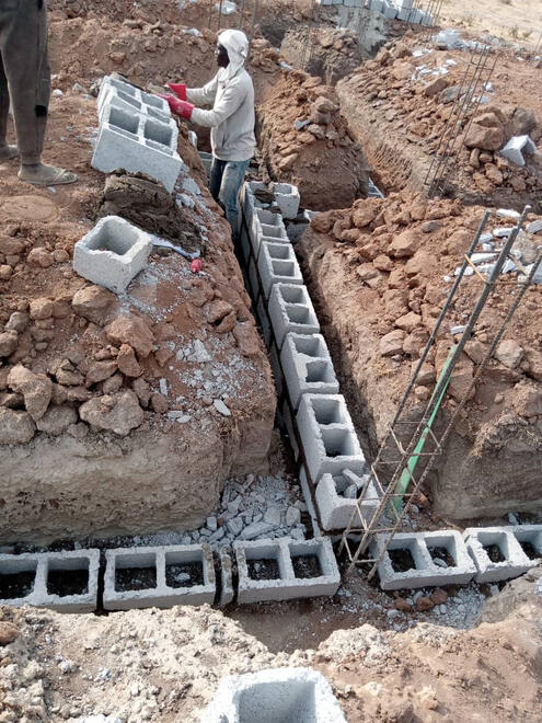 Nexus by Sylvastar Nexus by Sylvastar