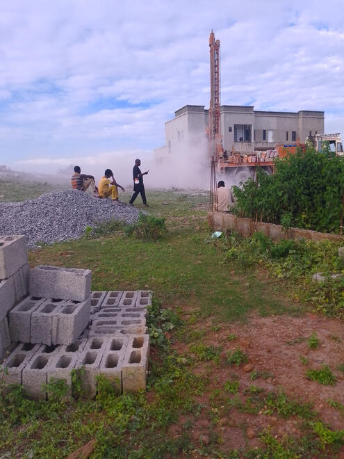 Nexus by Sylvastar Nexus by Sylvastar